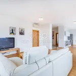 Rent 2 bedroom apartment in Pilsen