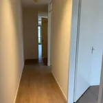 Huur 3 slaapkamer appartement van 60 m² in Veldhoven