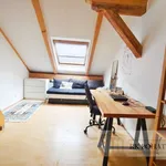 Rent 5 bedroom apartment of 150 m² in Prague