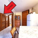 Rent 1 bedroom house of 34 m² in Rome