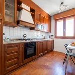 Rent 6 bedroom apartment of 90 m² in Bologna