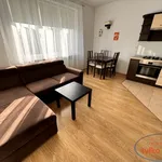 Rent 2 bedroom apartment of 40 m² in Poznań