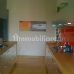 Rent 3 bedroom apartment of 190 m² in Turin