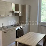 Rent 2 bedroom apartment of 45 m² in Torino