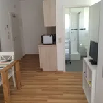 Rent 1 bedroom apartment of 25 m² in Mannheim