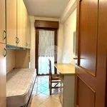 Rent 3 bedroom apartment of 65 m² in Roma