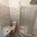 Rent 2 bedroom apartment of 35 m² in Brno