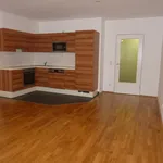 Rent 2 bedroom apartment of 51 m² in Graz