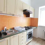 Rent a room of 57 m² in Brno