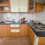 Rent 1 bedroom apartment of 30 m² in Hradec Králové