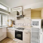 Rent 2 bedroom apartment of 50 m² in Rome