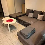 Rent 5 bedroom apartment of 110 m² in Venezia