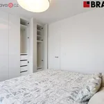 Pronajměte si 2 ložnic/e byt o rozloze 58 m² v Brno