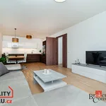 Rent 3 bedroom apartment in Praha 8