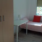 Rent 3 bedroom apartment in Valencia