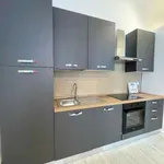 Rent 2 bedroom apartment of 47 m² in Milan