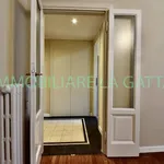 Rent 2 bedroom apartment of 60 m² in Milano