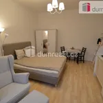 Rent 1 bedroom apartment of 30 m² in Prague