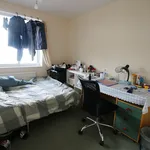 Rent 3 bedroom house in Sheffield