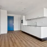 Rent 1 bedroom apartment in Amsterdam