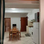 Rent 1 bedroom apartment of 35 m² in Collesalvetti