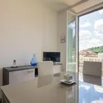 Rent 1 bedroom apartment in Florence