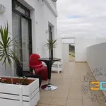 Alquilo 1 dormitorio apartamento de 18 m² en Fuerteventura']