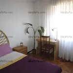 Rent a room in Madrid']