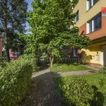 Rent 1 bedroom apartment of 29 m² in Ústí nad Labem