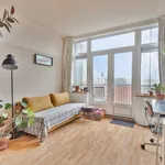 Rent 3 bedroom apartment of 91 m² in Rotterdam