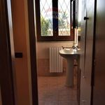 Rent 4 bedroom house of 85 m² in Pavia