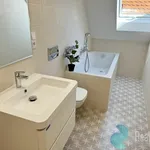 Rent 1 bedroom house in České Budějovice