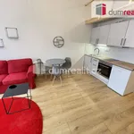 Rent 1 bedroom apartment of 42 m² in Praha