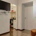 Rent 1 bedroom apartment of 51 m² in milan