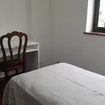 Rent 6 bedroom apartment in Coimbra