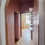 Rent 2 bedroom apartment of 56 m² in AlbiT