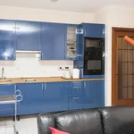 Rent 1 bedroom apartment in Turin