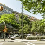 Alquilar 5 dormitorio apartamento en Barcelona