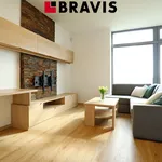 Rent 2 bedroom apartment of 52 m² in Brno