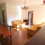 Rent 3 bedroom apartment of 85 m² in Roncoferraro