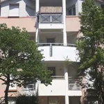 Rent 3 bedroom apartment of 66 m² in Toulouse