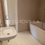 Rent 4 bedroom apartment of 353 m² in Zagreb