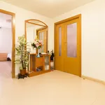 Alquilar 4 dormitorio apartamento en Madrid