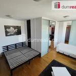 Rent 1 bedroom apartment of 36 m² in Capital City of Prague