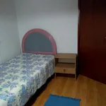 Rent 4 bedroom apartment in Coimbra