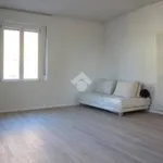 Rent 2 bedroom apartment of 64 m² in Rho