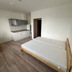 Rent 1 bedroom apartment in Brno