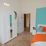 Rent 9 bedroom apartment in Modena