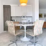 Rent 3 bedroom apartment of 85 m² in Bologna