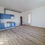 Pronajměte si 2 ložnic/e byt o rozloze 59 m² v Brno